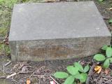 image of grave number 852850